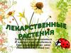 Лекарственные растения