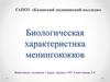 Биологическая характеристика менингококков