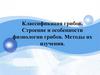 Классификация грибов. Строение и особенности физиологии грибов. Методы их изучения
