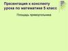 Площадь прямоугольника. К конспекту урока по математике. 5 класс