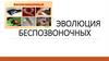 Эволюция беспозвоночных животных. 7 класс