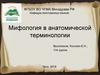 Мифология в анатомической терминологии