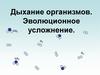 Дыхание организмов. Эволюционное усложнение