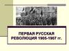 Первая русская революция 1905-1907 гг