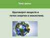 Круговорот веществ и поток энергии в экосистеме