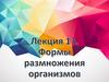Размножение организмов. Лекция 13