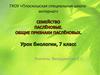Семейство паслёновые. Общие признаки паслёновых