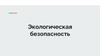 Экологическая безопасность