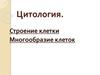 Цитология. Строение клетки. Многообразие клеток