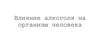 Влияние алкоголя на организм человека