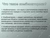 Что такое комбинаторика? Как всё начиналось…