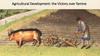 Agricultural Development: the Victory over famine