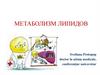 Метаболизм липидов
