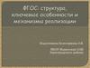 ФГОС: структура, ключевые особенности и механизмы реализации