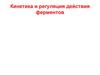 Кинетика и регуляция действия ферментов
