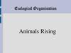 Animals Rising