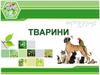 Біорізноманіття. Багатоклітинні тварини
