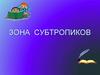 Зона субтропиков
