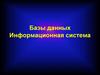 Базы данных. Информационная система