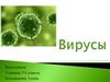 Вирусы. Виды вирусов