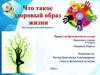 Что такое здоровый образ жизни (исследовательский проект)
