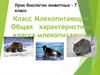 Класс Млекопитающие. Общая характеристика класса млекопитающих