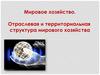 Мировое хозяйство. Отраслевая и территориальная структура мирового хозяйства