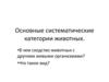 Основные категории систематики животных