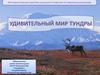 Интерактивная игра для учащихся 4 классов "Удивительный мир тундры"