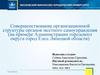 Совершенствование организационной структуры органов местного самоуправления
