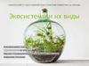Экосистемы и их виды