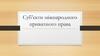 Суб’єкти міжнародного приватного права