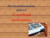 Исследовательская работа «Семейная экономика»