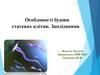 Особливості будови статевих клітин. Запліднення