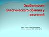 Особенности пластического обмена у растений
