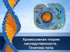Хромосомная теория наследственности. Генетика пола