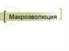 Макроэволюция. Сравнительная характеристика микро и макроэволюции
