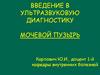 Мочевой пузырь. Введение в ультразвуковую диагностику