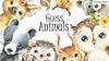 Guess animals