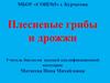 Плесневые грибы и дрожжи
