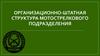 Организационно - штатная структура мотострелкового отделения