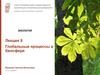 Глобальные процессы в биосфере. Лекция 8