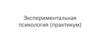 Экспериментальная психология (практикум)