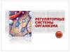 Регуляторные системы организма