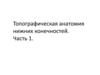 Топографическая анатомия нижних конечностей. Часть 1