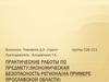 Экономическая безопасность региона (на примере Ярославской области). Практические работы