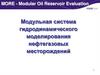 MORE - Modular Oil Reservoir Evaluation