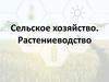 Сельское хозяйство. Растениеводство