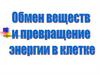 Обмен веществ и превращение энергии в клетке