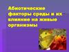 Абиотические факторы среды и их влияние на живые организмы
